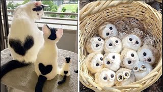 Cute Baby Animals s Compilation | Funny and Cute Moment of the Animals #31 - Cut