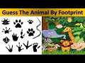 Guess the Animal by Footprint | Animal Tracks