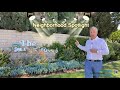 Simi Valley Neighborhood Spotlight // The Groves