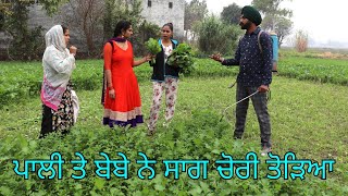 Paali te Bebe ne Todia kise de Khet cho Saag... Chori da saag