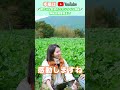 恐るべし！植物の世界！！【おうちで元気な無農薬野菜を育てよう】 shorts