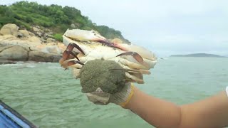 小漁出海釣魚運氣不佳，轉去收網遇好貨各種大螃蟹，可以大吃一頓了【漁小仙】