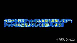 チャンネル登録よろしくお願いします＜（＿　＿）＞