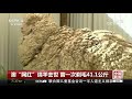 中国新闻 澳“网红”绵羊克里斯去世 曾一次剃毛41.1公斤 cctv中文国际