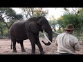 Africa 2019 - Mana Pools with Bushlife Safaris