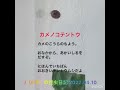 Ｊの昆虫日記　テントウムシ（カメノコテントウ）5才