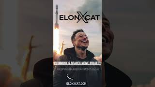 Explore the Meme Coin Universe with ElonXCat 🪐 || ELONXMUSK \u0026 SPACEX MEME COIN ||