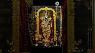 # tirumala vaasa sri venkatesa🙏🙏👍👍# yt shorts# Deekshana Malle#