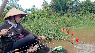 Udang Galah Makin Mengganas//Spot Viral Mancing Udang Galah