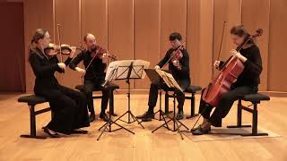 Ravel String Quartet / 1st movement / Skazka Kwartet