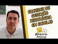 Como tratar em casa a gravidez psicológica da sua cachorrinha (cadela)