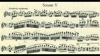 Paganini - 6 Sonatas, Op. 2: No. 5 in D Major (Sheet Music)