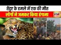 Lakhimpur Kheri News: तेंदुए के हमले में बच्चे की मौत पर हंगामा | Leopard Attack | Hindi News