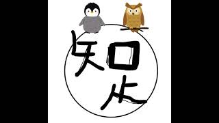 お友達のフクロウさんと対談1回目