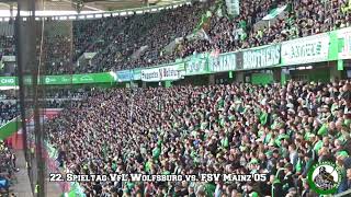 Saison 2018/2019 22. Spieltag VfL Wolfsburg vs. FSV Mainz 05