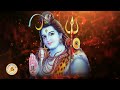 mahashivratri mahatmya in hindi mahashivaratri mahatmya katha shivratri mahima why mahashivratri