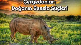 Gergedanlar: Doğanın Sessiz Güçleri #gergedan #belgesel #hayvanlar