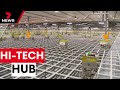 Coles’ new automated hub at Wetherill Park | 7NEWS