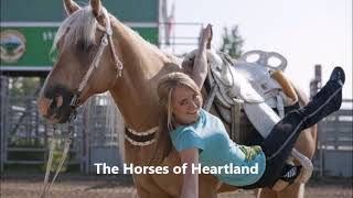 The Horses of Heartland