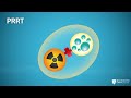 Peptide receptor radionuclide therapy (PRRT) Explainer V2