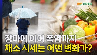 장마로 인해 크게 바뀐 대한민국 채소 시세