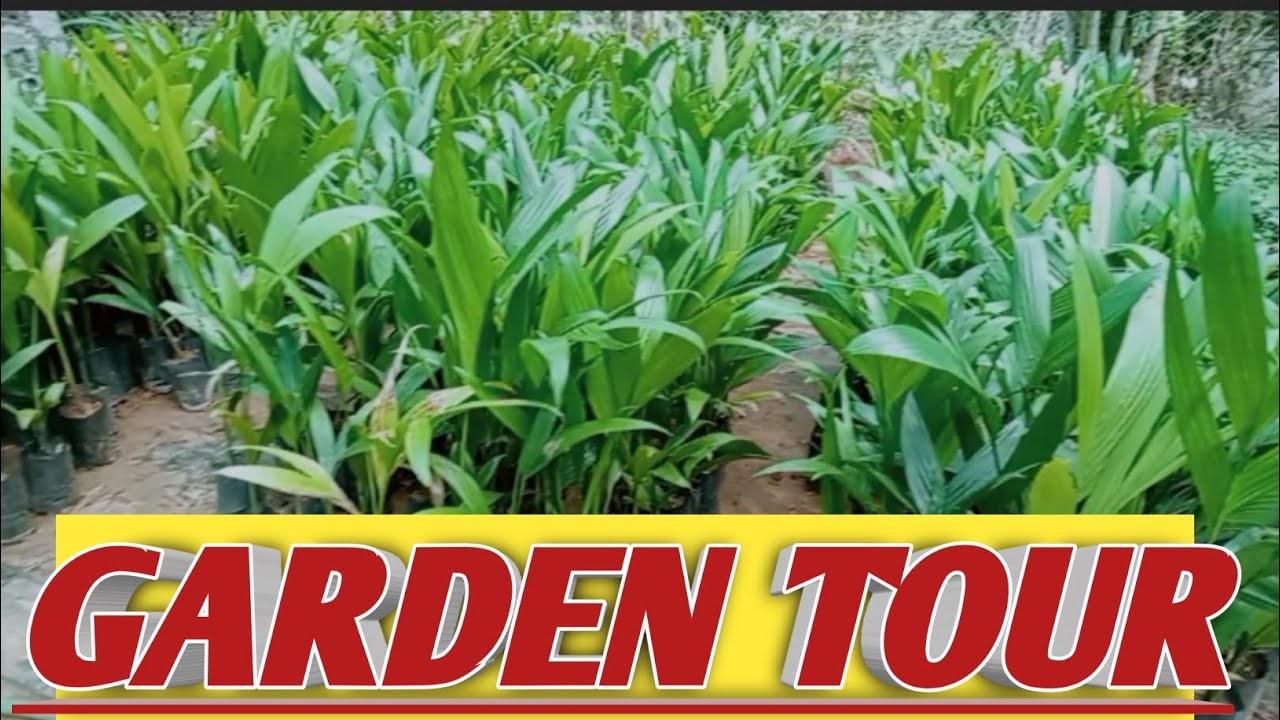 Garden Tour Youtube