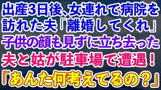 【スカッとする話】出産して3日後に女連れで病院を訪れた夫「離婚してくれ」子供の顔すら見ずに立ち去った夫と義母が駐車場で遭遇「あんた何考えてるの？」結果...【修羅場】【総集編】【感動する話】