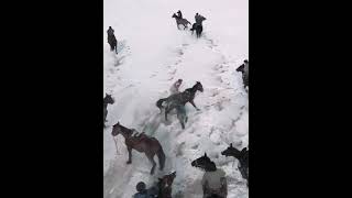 Buzkashi Kokpar Rambo