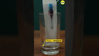 😲ஓ மை காட்😲| Magic ink um!, Tissue Papper um!🧻| The Art of Chromatography: Understanding the Basics🎨