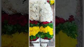 ಜಗದೇಶ್ವರಿ-ಆದಿಶಕ್ತಿ \