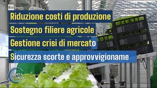 Sovranità alimentare, fondo da 100 mln - Porta a porta 24/11/2022