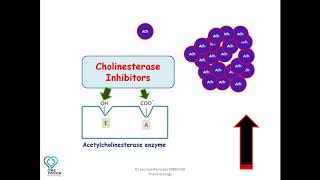 MOA of Cholinesterase inhibitors/Anticholinesterases/ edrophonium/ neostigmine / Organophosphates