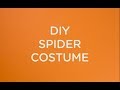 Easy DIY spider costume