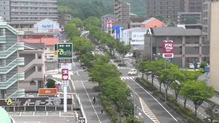 東広島市西条下見通り（広島県東広島市）Higashihiroshima saijo shitami street