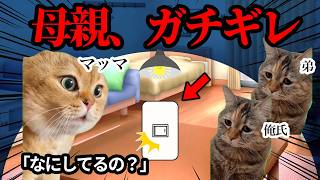 無駄なことをしすぎて母親がブチギレてしまいました… #猫ミーム #猫マニ