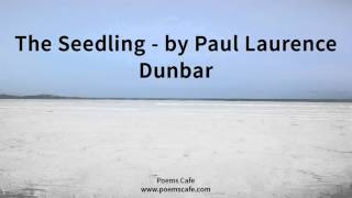 The Seedling   by Paul Laurence Dunbar