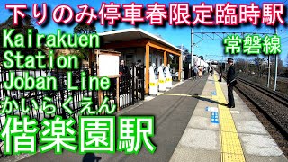 【春限定臨時駅】常磐線　偕楽園駅を探検してみた Kairakuen Station. JR East Joban Line