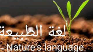 لغة الطبيعة Nature's language