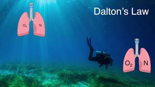Diving Emergencies