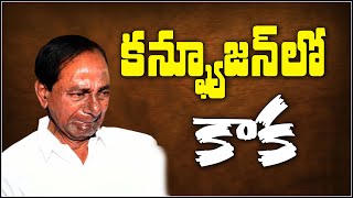 కన్ఫ్యూజన్ లో కాక..?|| QNewsHD || QMusichd