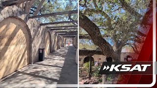 Visitors to The Alamo can step inside the historic site for free