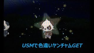 USMで色違いヤンチャムGET