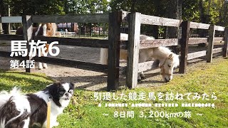 馬旅６　第4話　～引退した競走馬を訪ねてみたら～　A journey around retired racehorses6  episode4