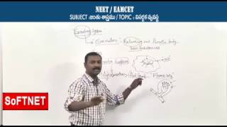 ZOOLOGY || EXCRETORY SYSTEM - P1 || CH.Praveen Kumar