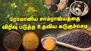 கிரேக்கர்களையே வியக்க வைத்த கடுகு | கடுகிற்க்கு பின்னால் இருக்கும் வரலாறு | Mustard History in tamil