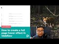 How to create a full page hover effect in Webflow