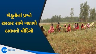 Video Of Farmers Of Dhari Meeting Goes Viral | Amreli Farmers Meeting | Amreli News | Gujarat News