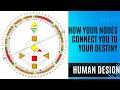 How Your Nodes in Human Design Connect You to Your Life Purpose