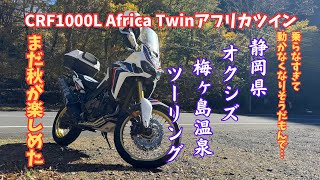 【CRF1000L アフリカツイン】静岡 オクシズ 梅ヶ島温泉ツーリング｜オイル交換とバッテリー外し＆充電