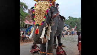 തോട്ടക്കാട് വിനായകൻ എയ്യാൽ പൂരത്തിന് #thottakkadvinayakan #eyyalpooram #aanapremi #e4elephant